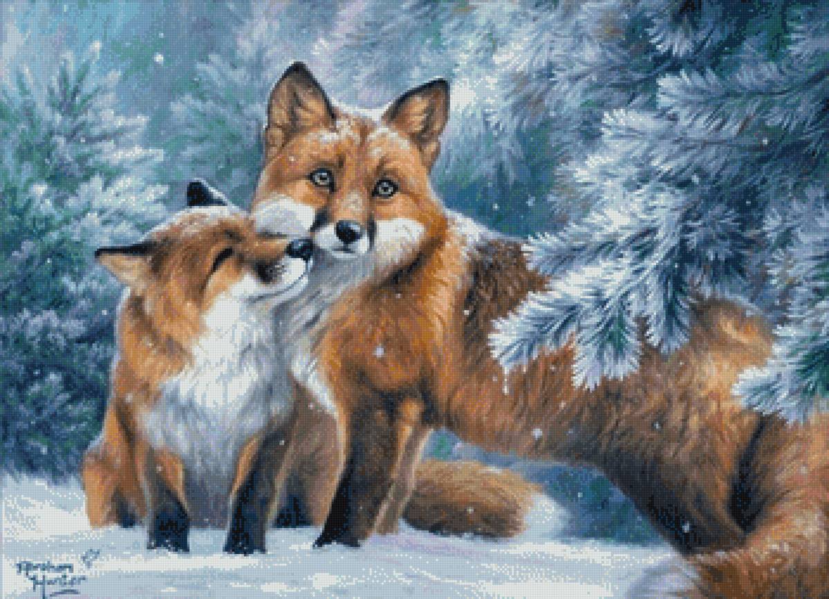 картины абрахама хантера - лес, лиса, елки, снег, зима, сосны - предпросмотр