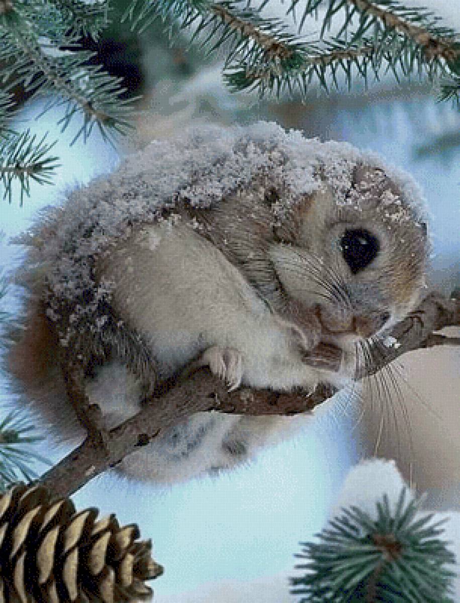 №2588517 - предпросмотр