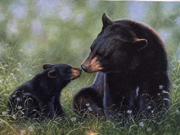 картины абрахама хантера - медведи, природа, лес, медвежонок - оригинал