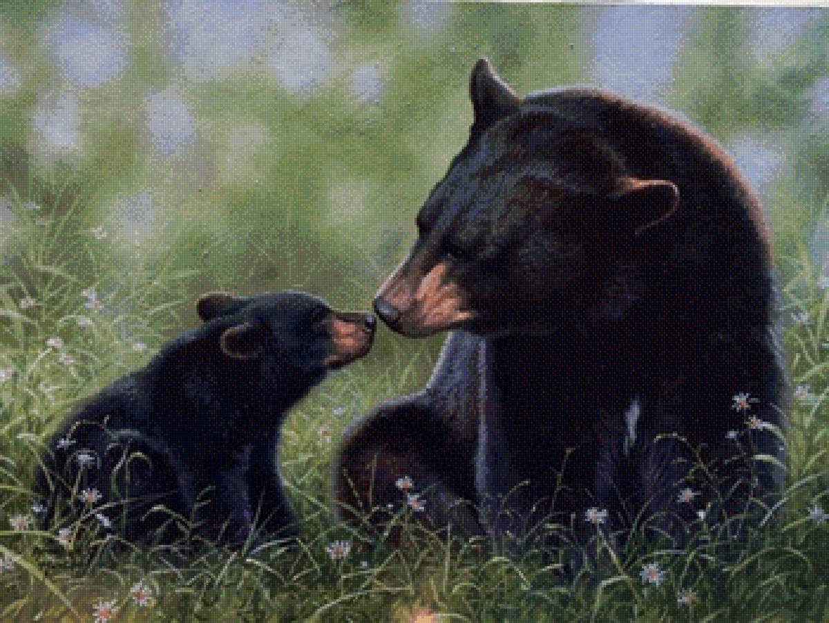 картины абрахама хантера - медведи, природа, медвежонок, лес - предпросмотр
