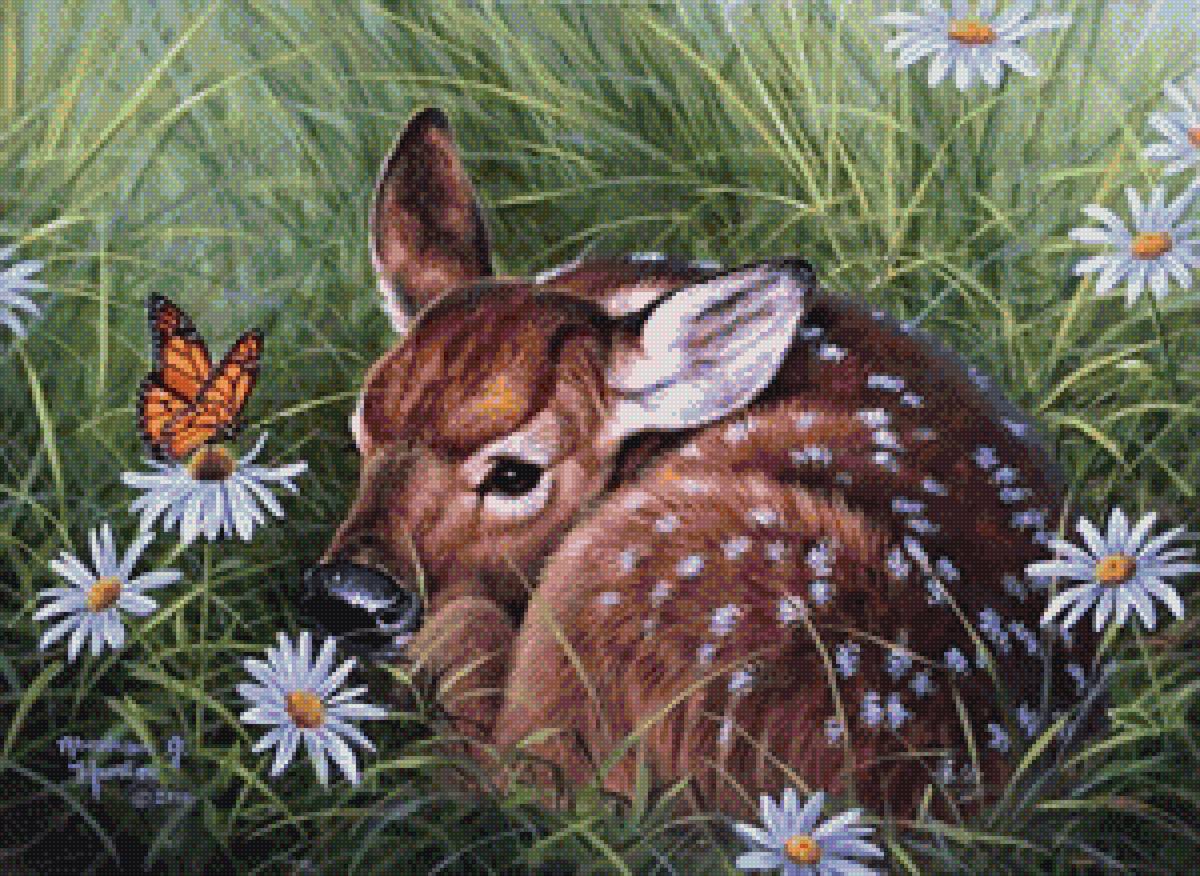 картины абрахама хантера - природа, олененок, бабочка, лес, ромашки - предпросмотр