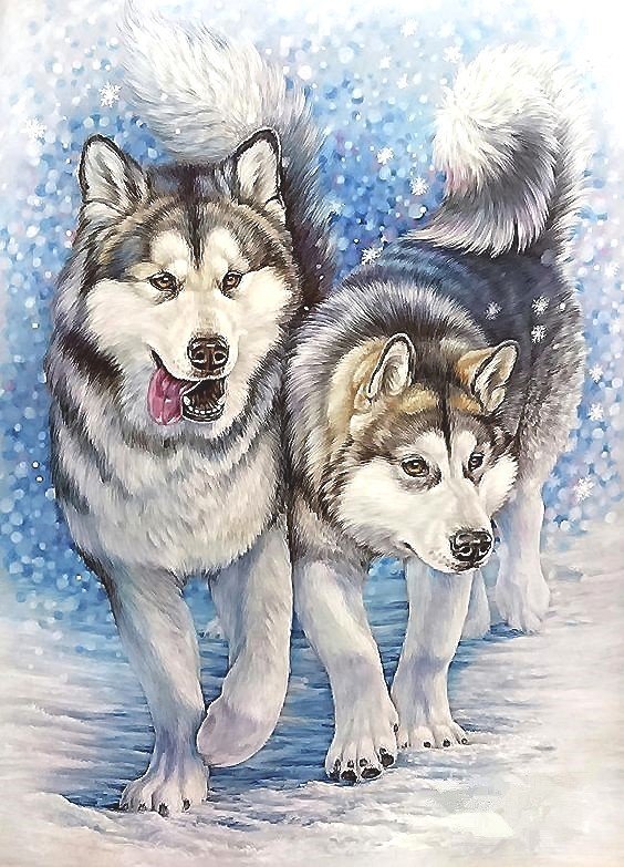 Хаски - художники - оригинал