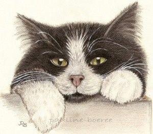 Кот - кот 🐱 - оригинал