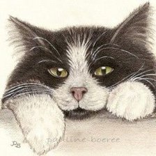 Схема вышивки «Кот»