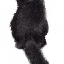 Схема вышивки «Черныш»