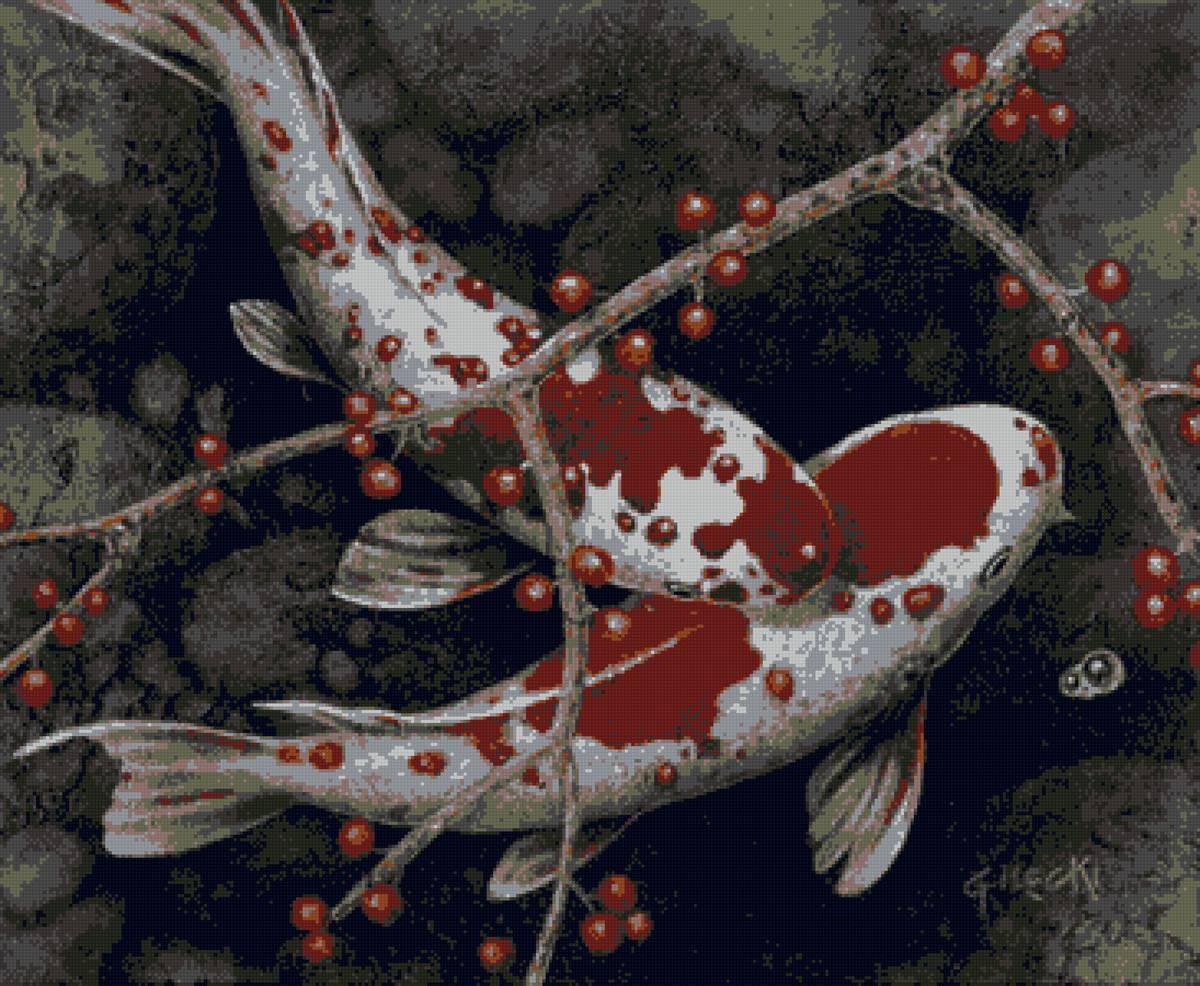 Кои 10 цветов - предпросмотр