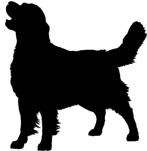 Силуэт голдена - собака, голден - оригинал