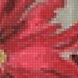 Предпросмотр схемы вышивки «Хризантемы» (№2590682)