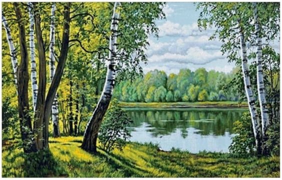 Пейзаж с березами - лето, пейзаж, березы - оригинал