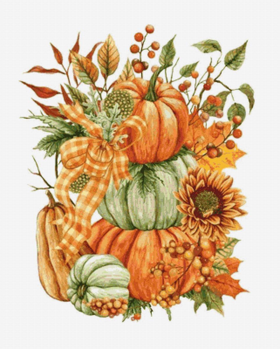 Тыквы - постер, тыквы, овощи, иллюстрация - предпросмотр