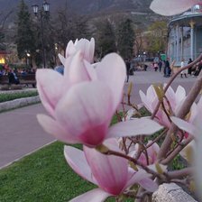 Схема вышивки «Весна в Пятигорске»