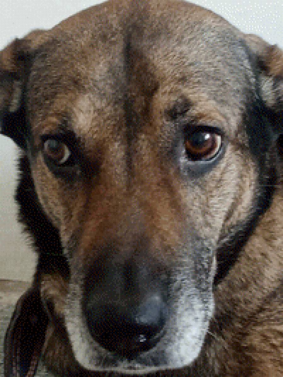 Бой - предпросмотр