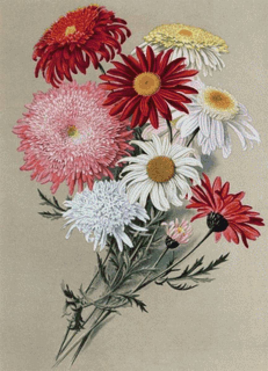 Хризантемы - живопись, хризантемы, цветы - предпросмотр