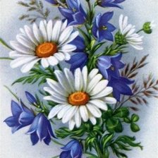 Оригинал схемы вышивки «Полевые цветы» (№2590958)