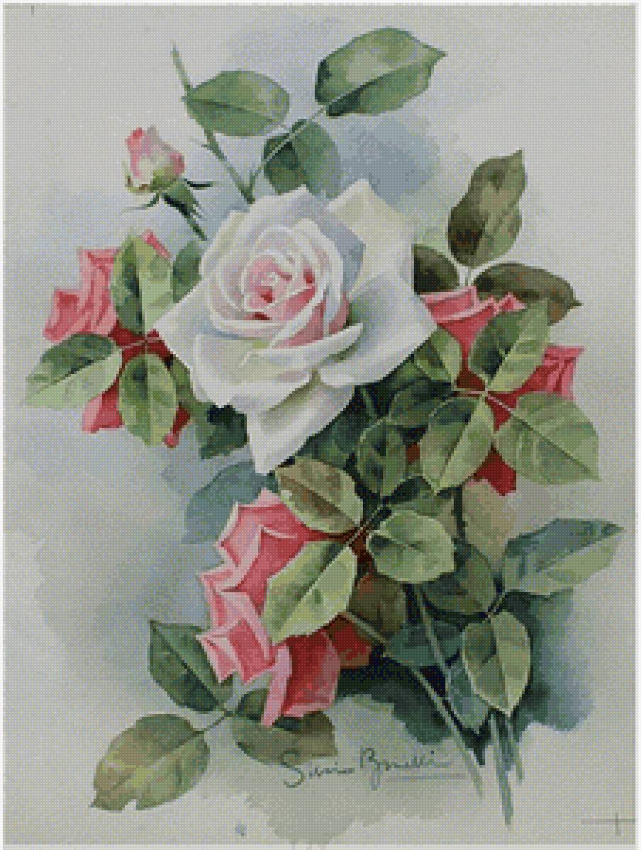 Акварельные розы - цветы, живопись, розы - предпросмотр