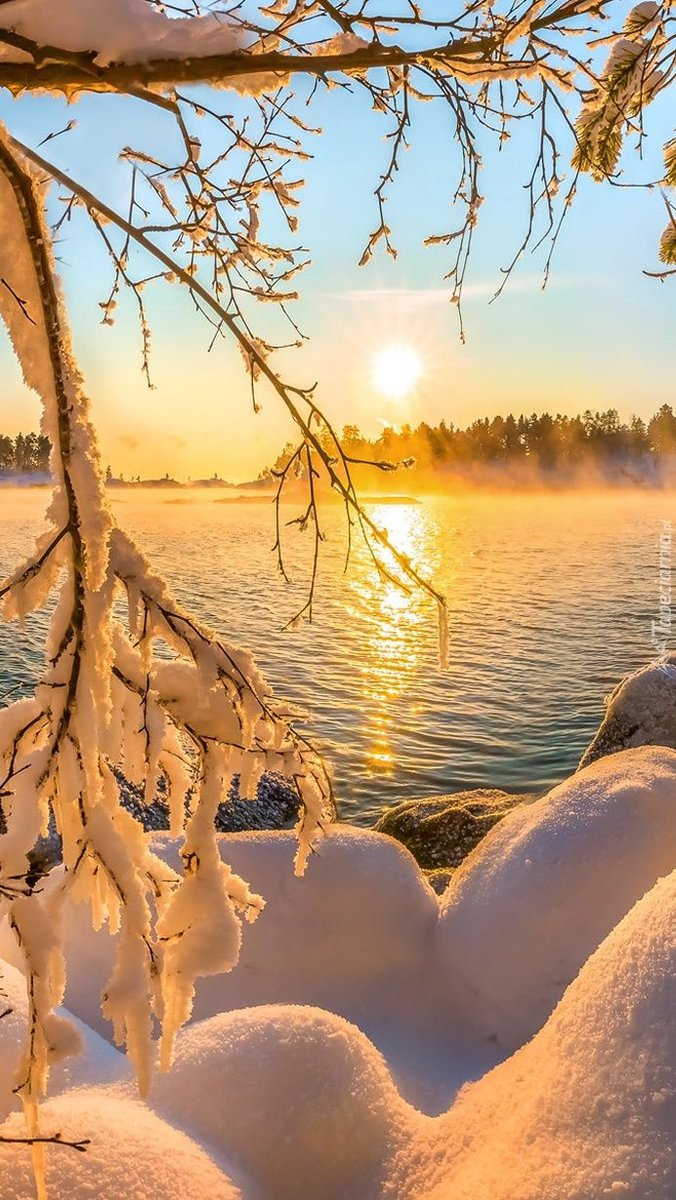 Солнечная зима - зима, иней - оригинал