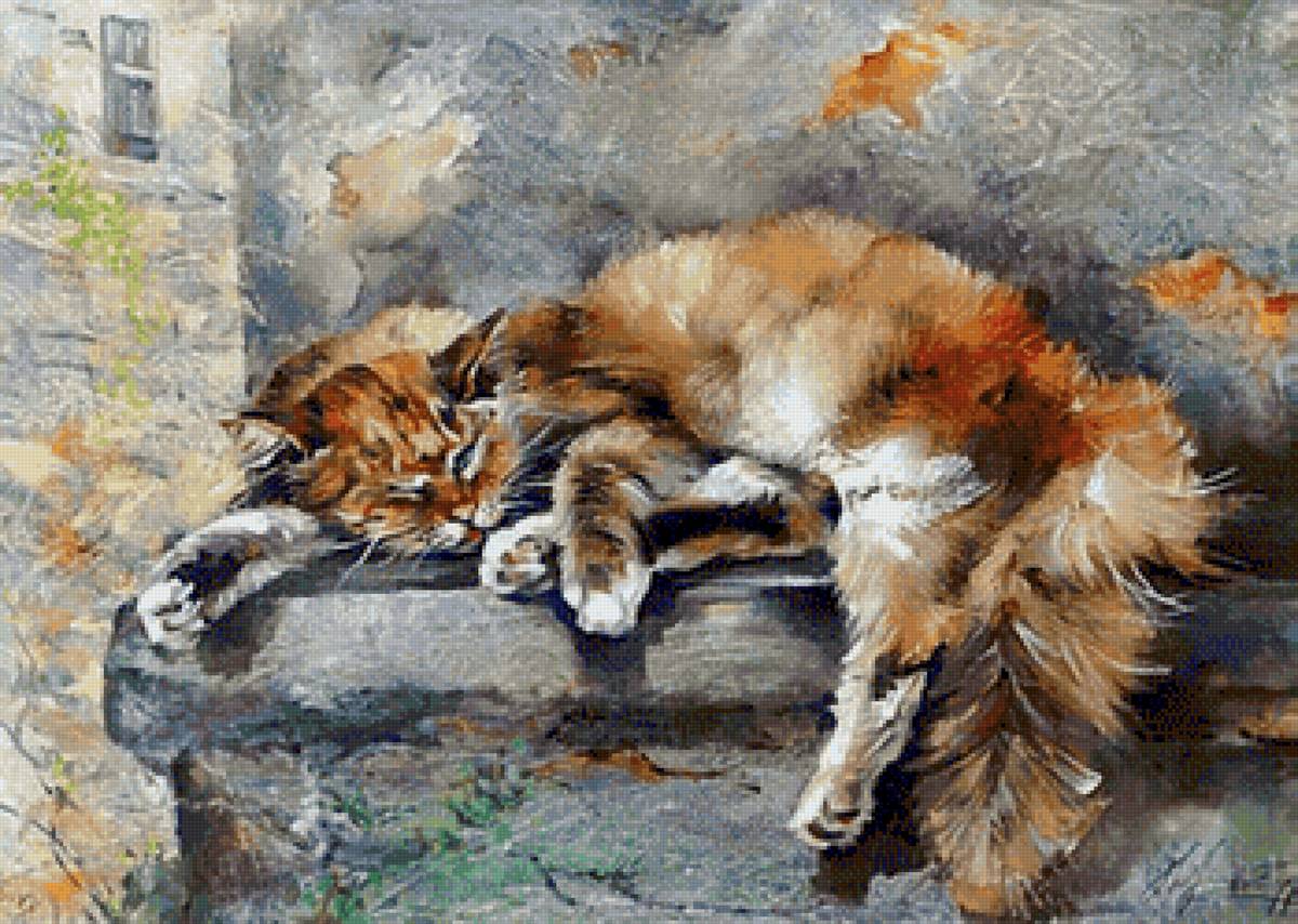 Рыжий отдыхает - кот - предпросмотр