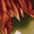 Предпросмотр схемы вышивки «Букет хризантем» (№2591680)