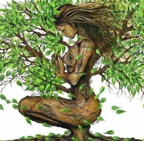 №2591807 - оригинал