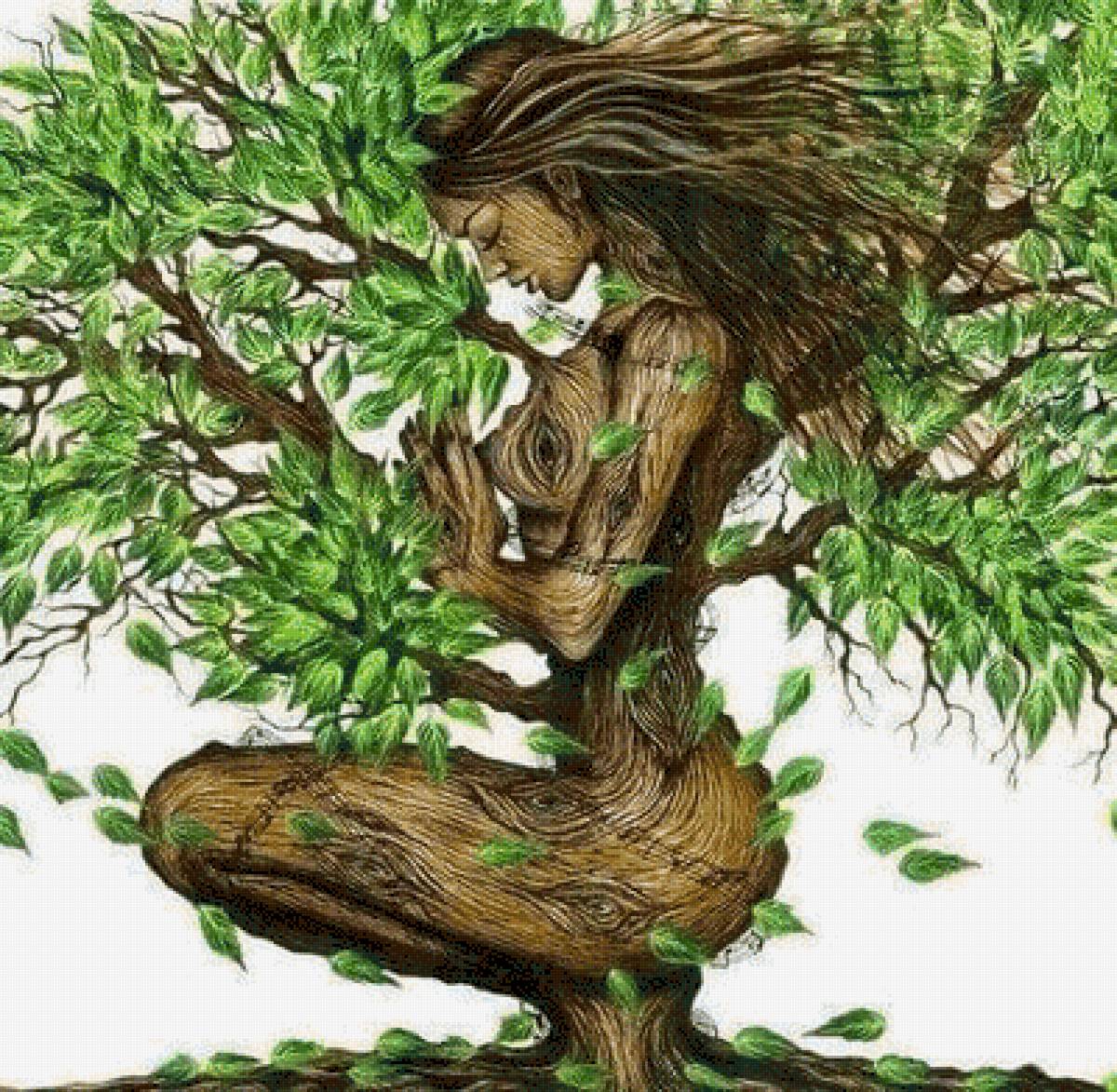 №2591807 - предпросмотр