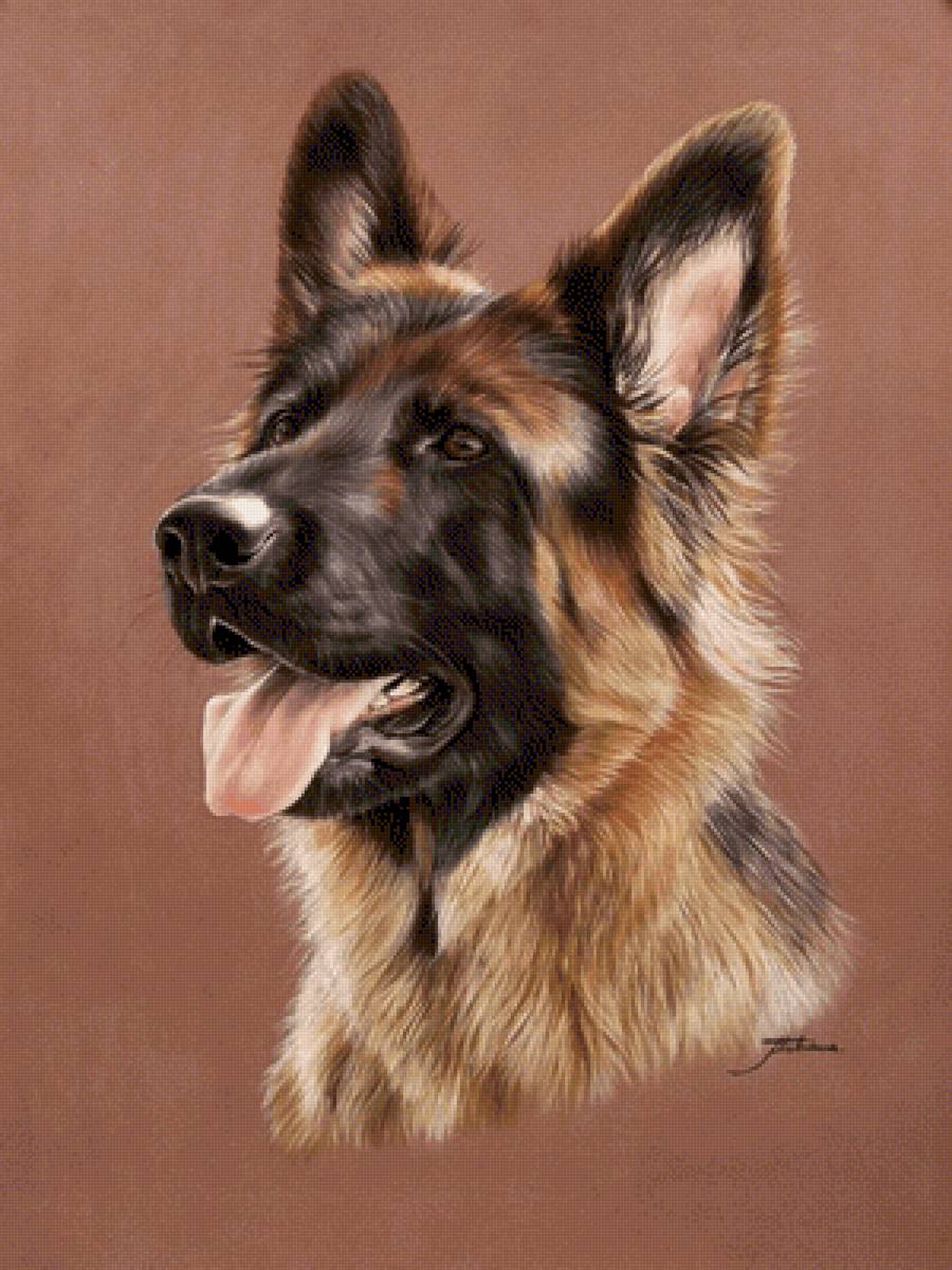 Немецкая овчарка. Живопись. Акварель - художники - предпросмотр