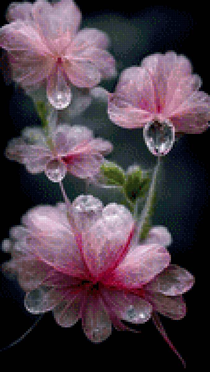 №2592059 - предпросмотр