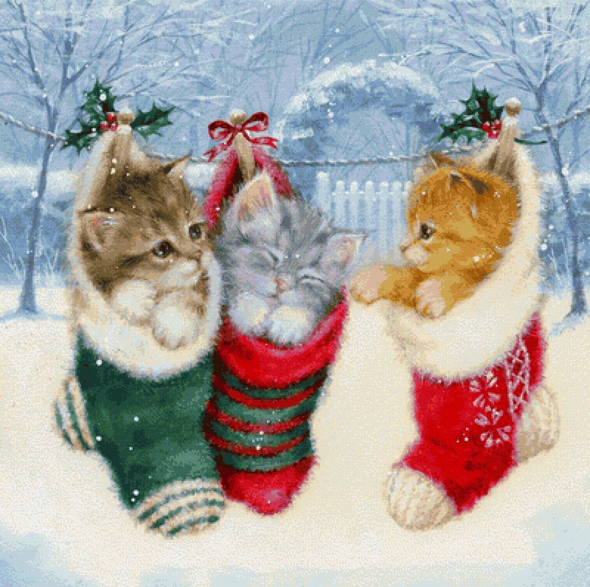 Котята в носочках - новый год, котята, зима, рождество - предпросмотр