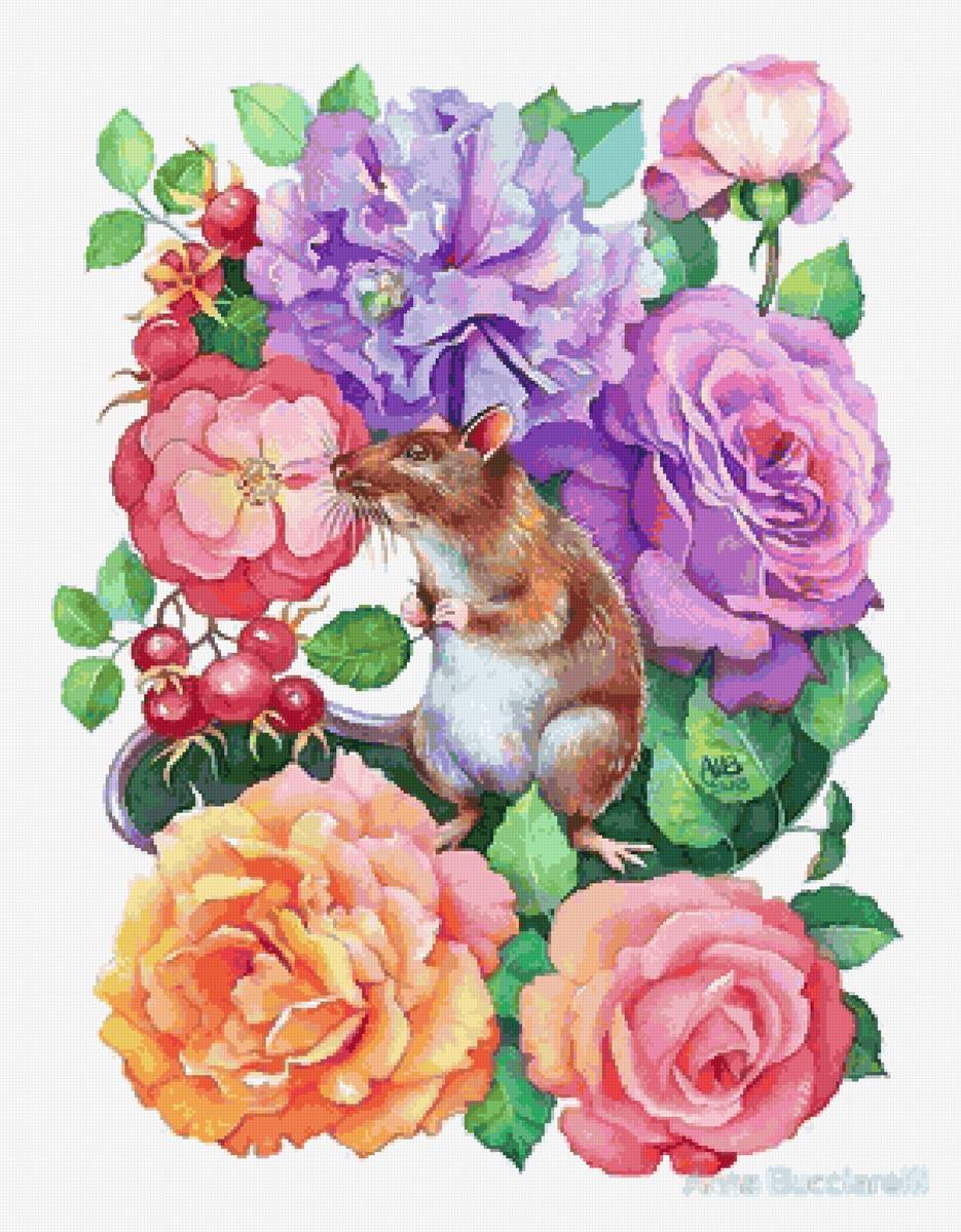 Мышь - животные - предпросмотр