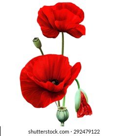 Мак - цветок. оформление для салфеток. - оригинал