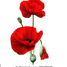 Схема вышивки «Мак»