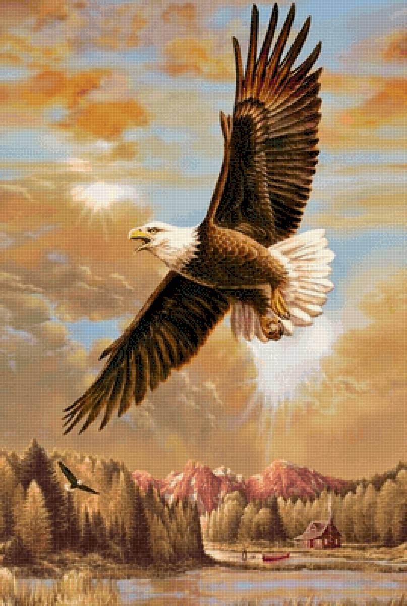 №2592980 - предпросмотр