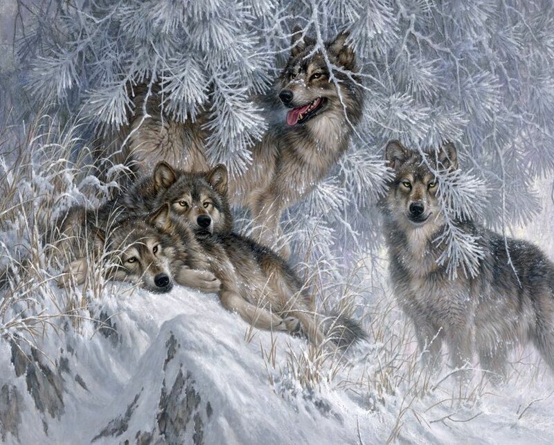 №2593086 - зима, волки - оригинал