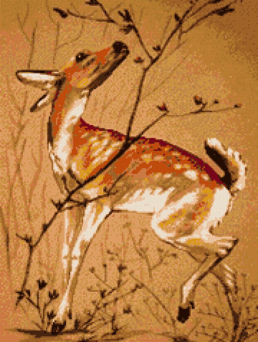 Олененок - олененок, животные - предпросмотр