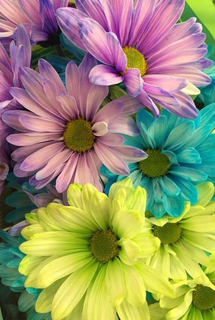 №2593415 - оригинал