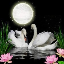 Схема вышивки «Лебеди»