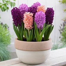 Схема вышивки «№2594133»