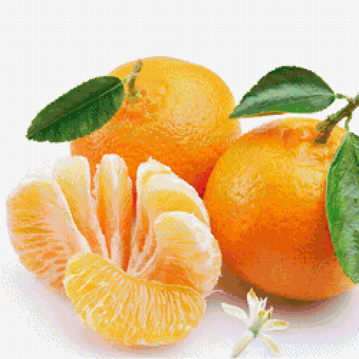 №2594900 - предпросмотр