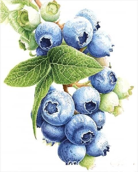 №2595096 - оригинал