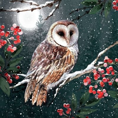 Зимняя ночь - ночь, зима, сова - оригинал