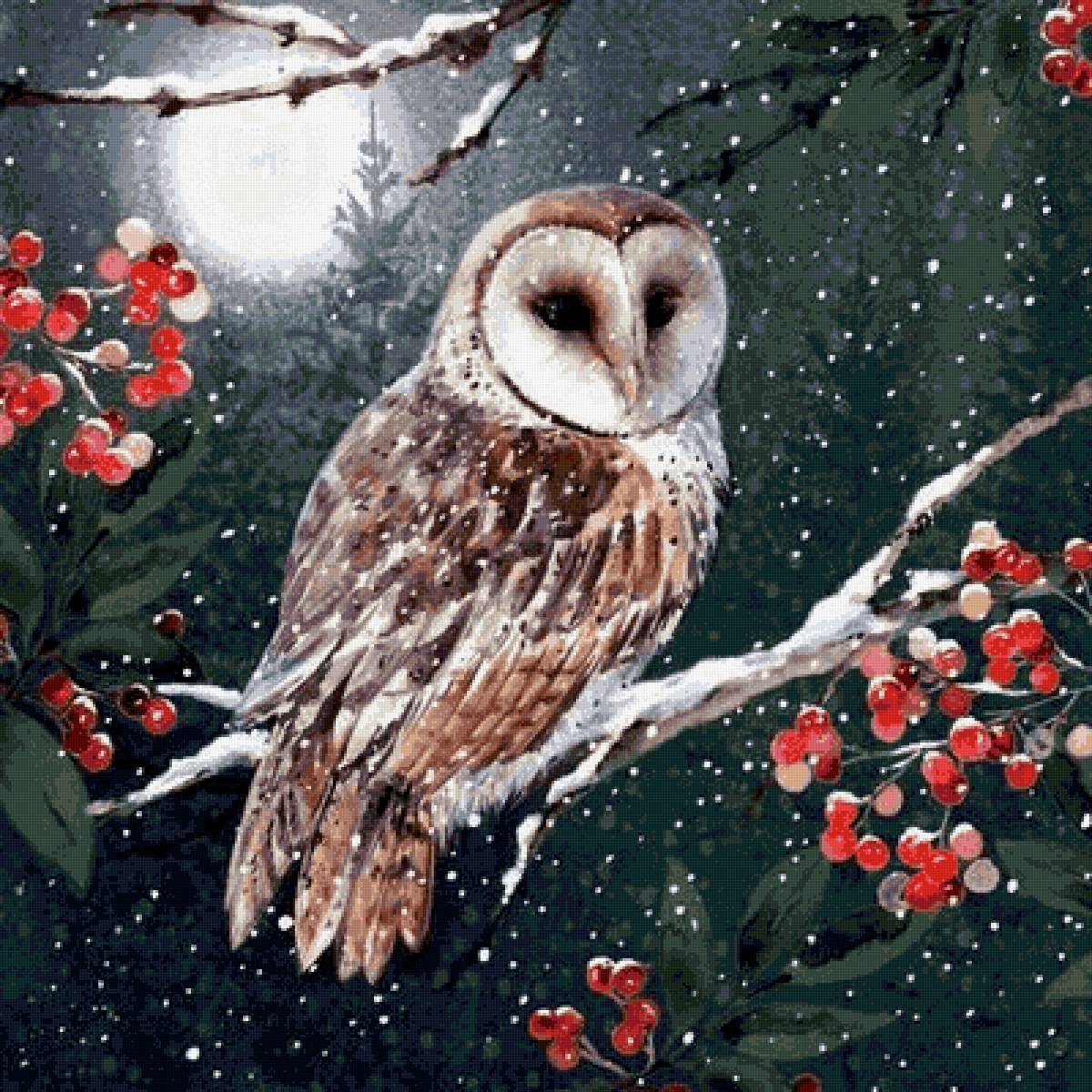 Зимняя ночь - сова, ночь, зима - предпросмотр