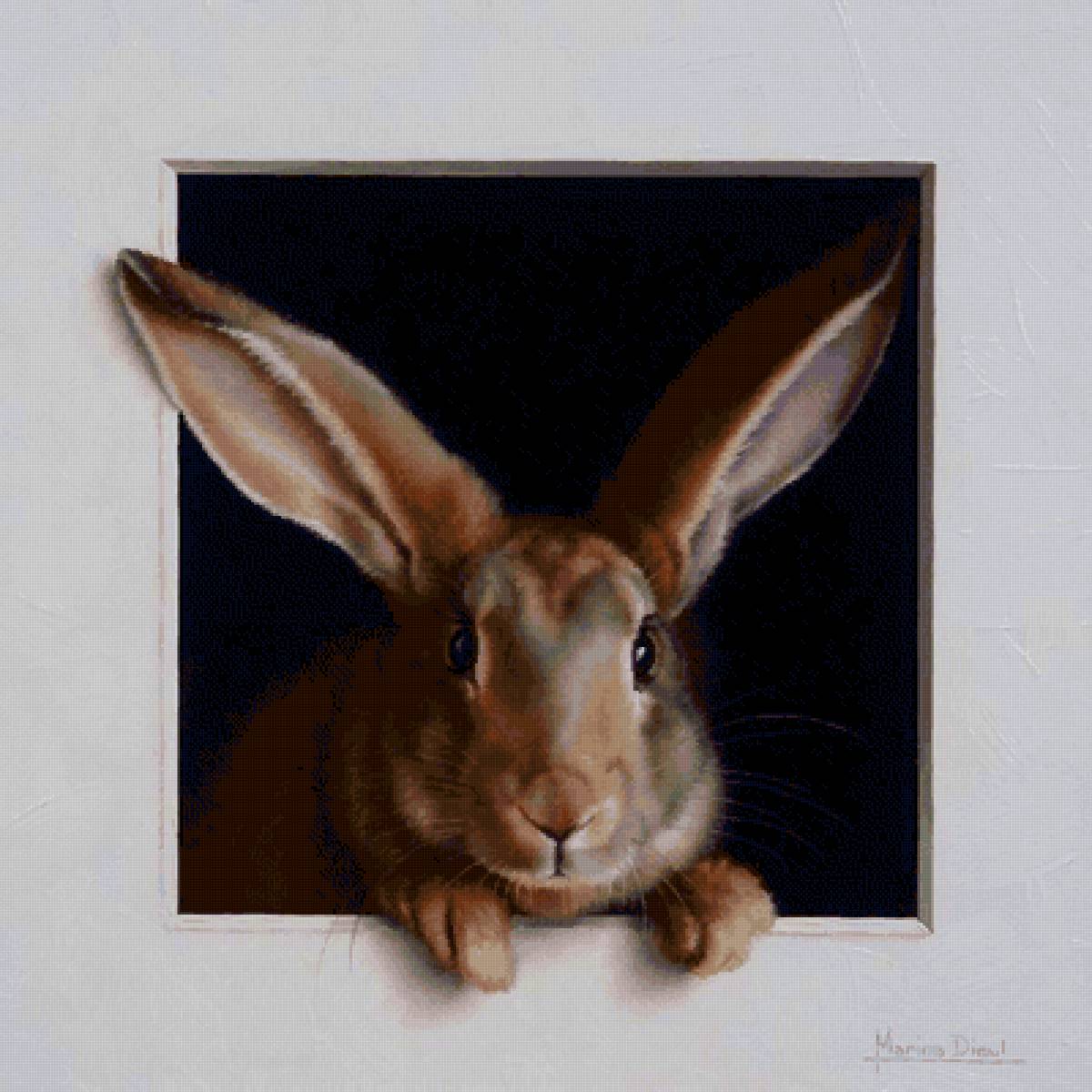 Заяц - 2023 - животное, символ года, заяц - предпросмотр