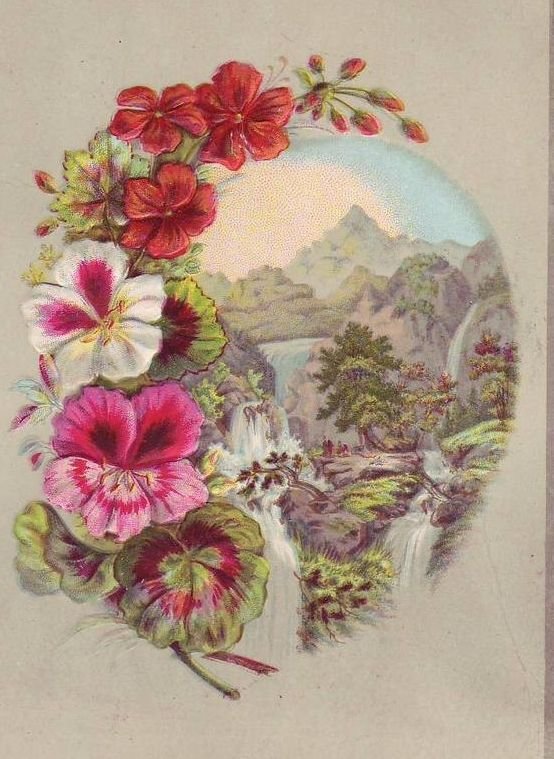 Открытка - оригинал