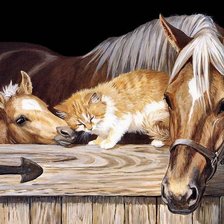 Схема вышивки «лошади, кот»