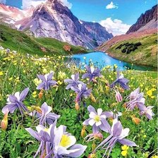 Схема вышивки «№2595528»