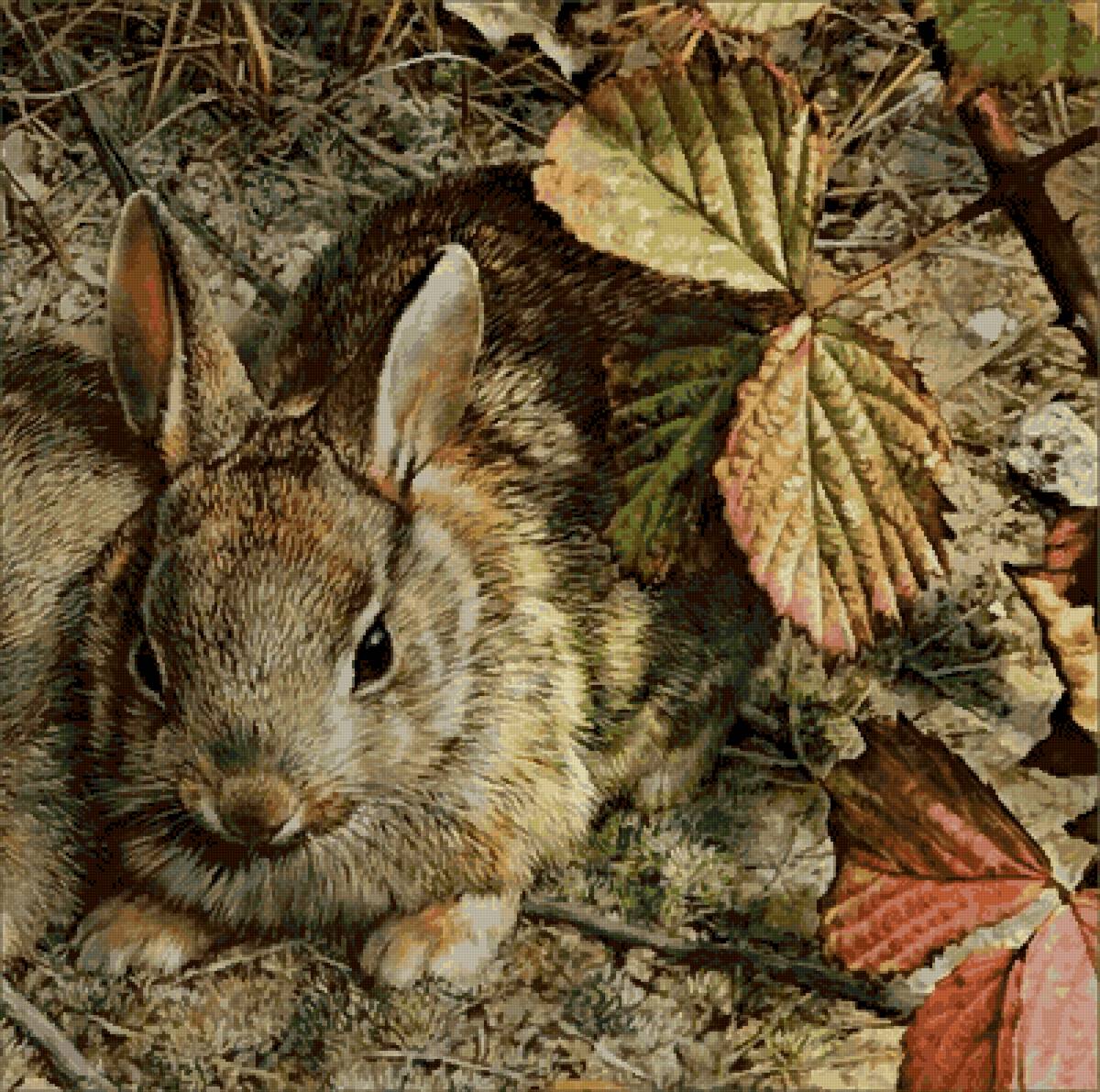 Зая - заяц, животное - предпросмотр