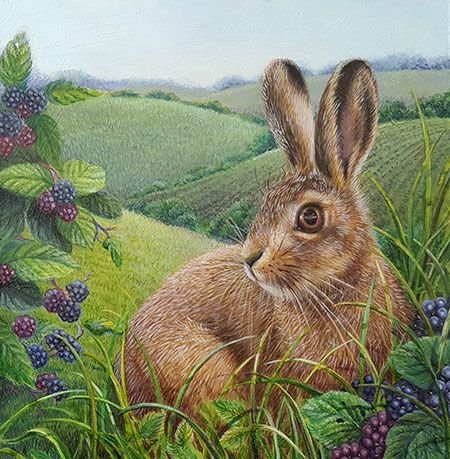 Заяц в поле - заяц, животное, природа - оригинал