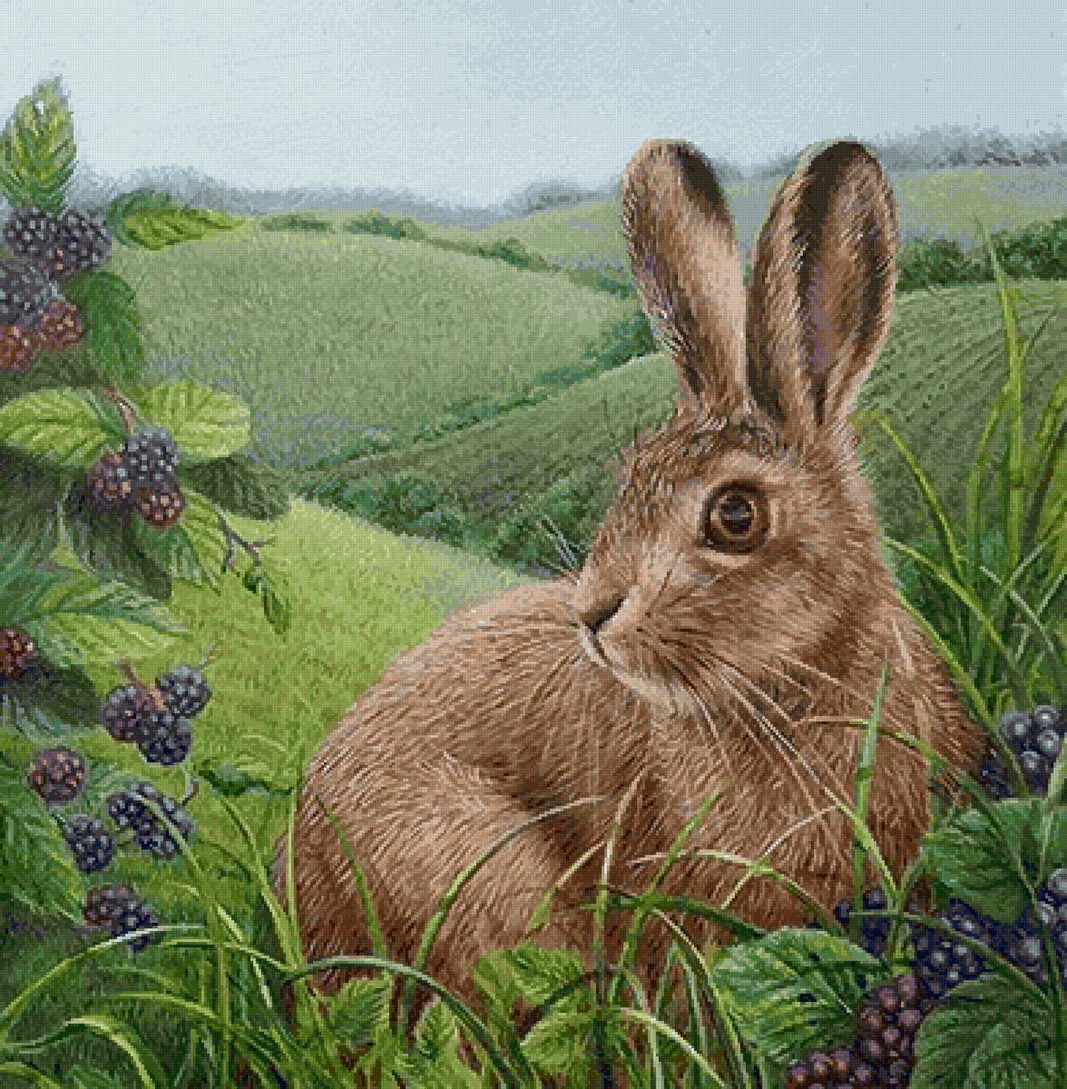 Заяц в поле - природа, животное, заяц - предпросмотр