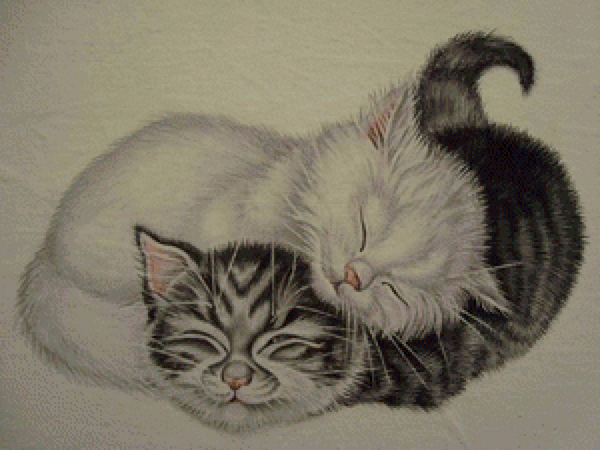 №2595822 - котята - предпросмотр