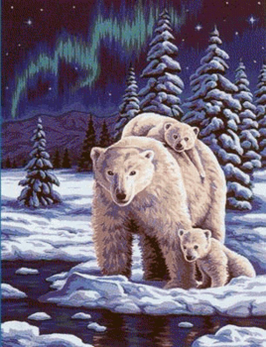 Северный полюс - пейзаж, северное сияние, медведи - предпросмотр