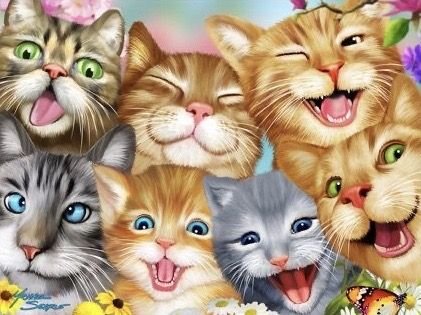 Урок пения - кот - оригинал